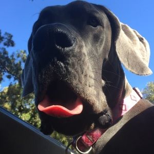 Meet your Posher, Danielle